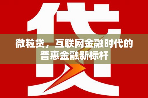 湖里微粒贷，互联网金融时代的普惠金融新标杆