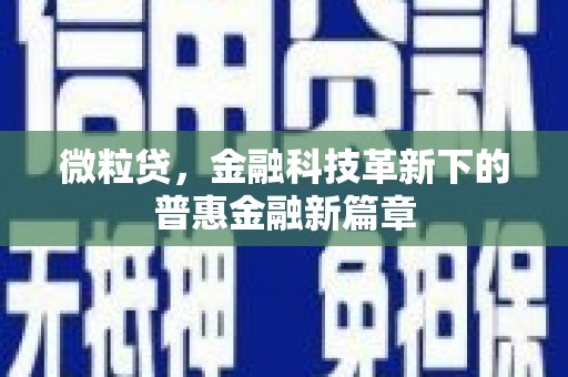 湖里微粒贷，金融科技革新下的普惠金融新篇章