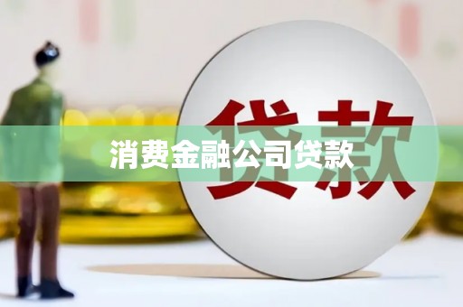 湖里消费金融公司贷款