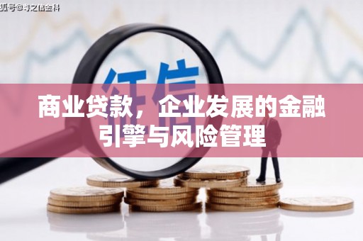湖里商业贷款，企业发展的金融引擎与风险管理