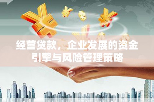 湖里经营贷款，企业发展的资金引擎与风险管理策略