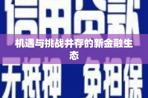 湖里机遇与挑战并存的新金融生态