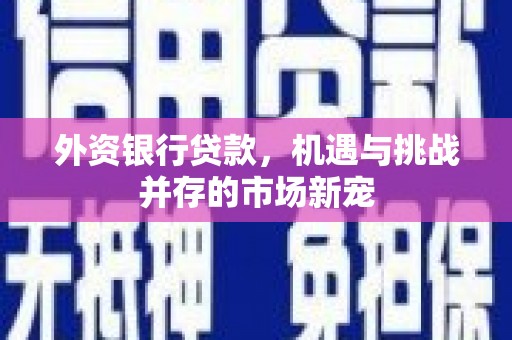 湖里外资银行贷款，机遇与挑战并存的市场新宠