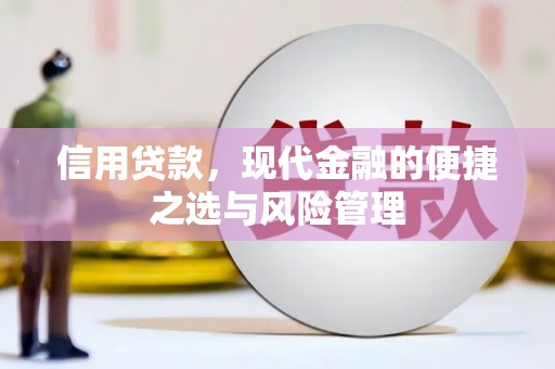 湖里信用贷款，现代金融的便捷之选与风险管理