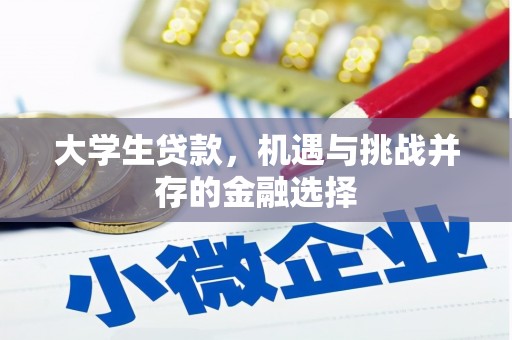 湖里大学生贷款，机遇与挑战并存的金融选择