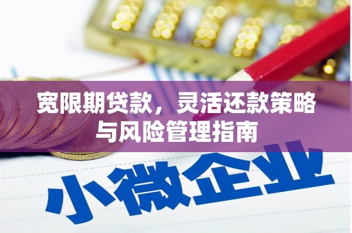 湖里宽限期贷款，灵活还款策略与风险管理指南