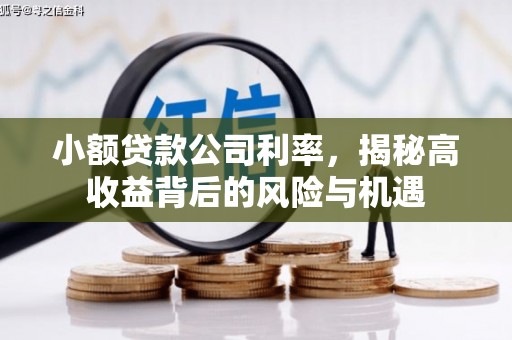 湖里小额贷款公司利率，揭秘高收益背后的风险与机遇