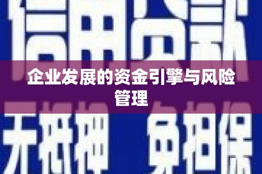 湖里企业发展的资金引擎与风险管理