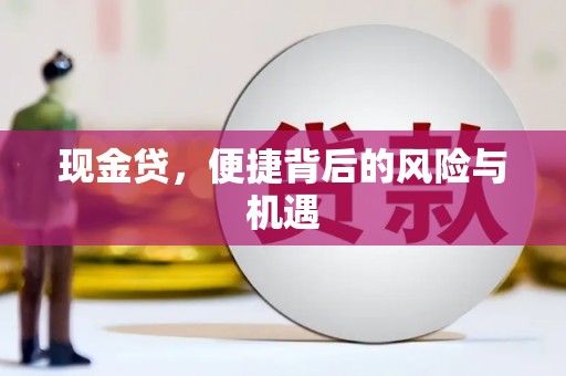 湖里现金贷，便捷背后的风险与机遇