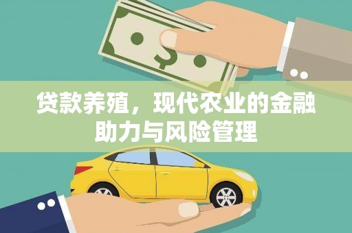 湖里贷款养殖，现代农业的金融助力与风险管理
