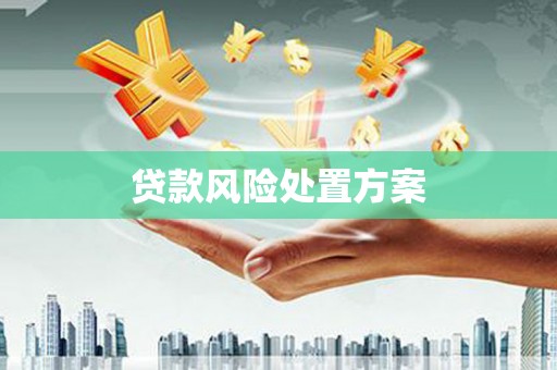 湖里贷款风险处置方案