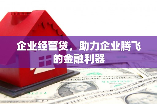 湖里企业经营贷，助力企业腾飞的金融利器