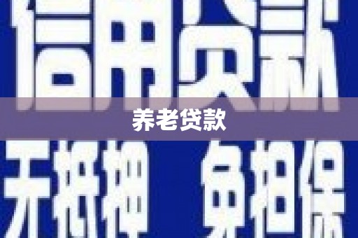 湖里养老贷款