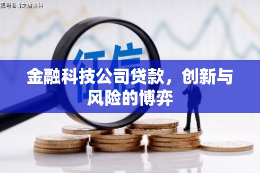 湖里金融科技公司贷款，创新与风险的博弈