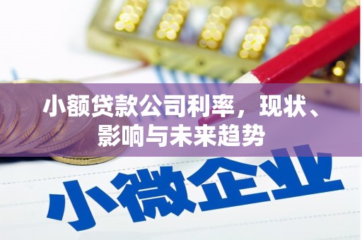 湖里小额贷款公司利率，现状、影响与未来趋势
