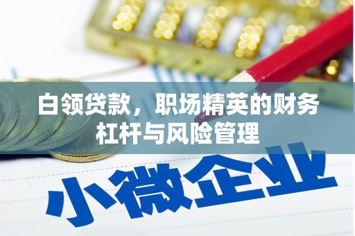 湖里白领贷款，职场精英的财务杠杆与风险管理