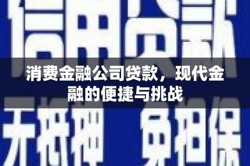 湖里消费金融公司贷款，现代金融的便捷与挑战