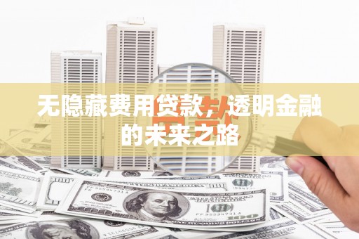 湖里无隐藏费用贷款，透明金融的未来之路