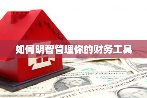 湖里如何明智管理你的财务工具