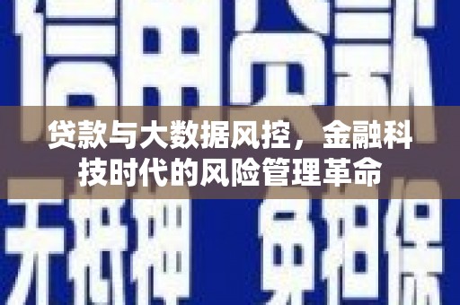 湖里贷款与大数据风控，金融科技时代的风险管理革命