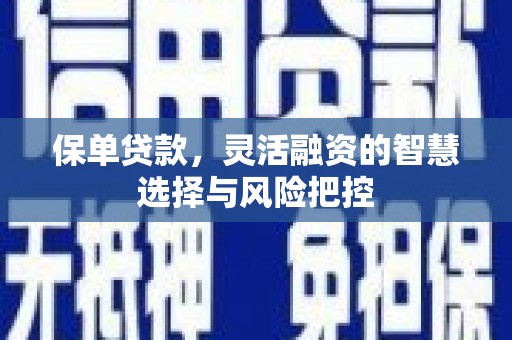 湖里保单贷款，灵活融资的智慧选择与风险把控