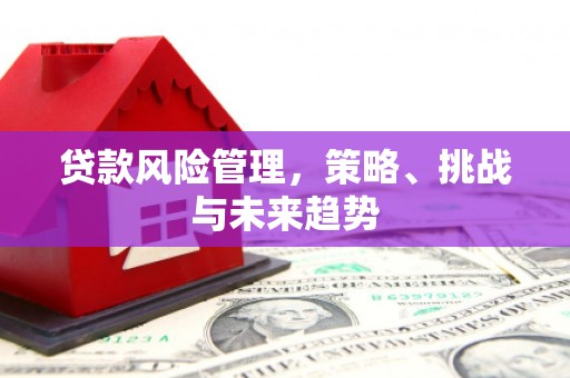 湖里贷款风险管理，策略、挑战与未来趋势