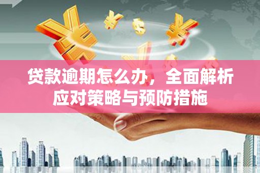 湖里贷款逾期怎么办，全面解析应对策略与预防措施