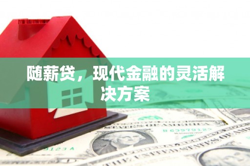 湖里随薪贷，现代金融的灵活解决方案