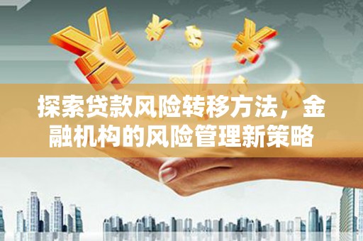 湖里探索贷款风险转移方法，金融机构的风险管理新策略