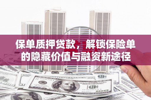 湖里保单质押贷款，解锁保险单的隐藏价值与融资新途径