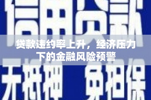 湖里贷款违约率上升，经济压力下的金融风险预警