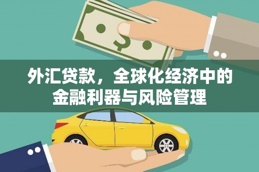 湖里外汇贷款，全球化经济中的金融利器与风险管理
