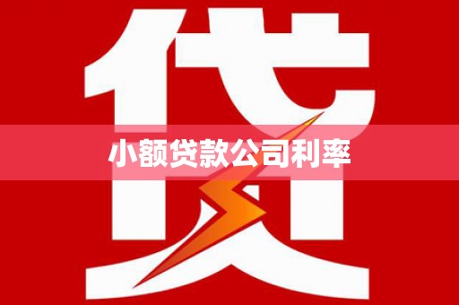湖里小额贷款公司利率