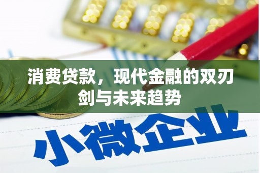 湖里消费贷款，现代金融的双刃剑与未来趋势
