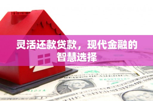 湖里灵活还款贷款，现代金融的智慧选择