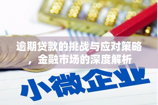 湖里逾期贷款的挑战与应对策略，金融市场的深度解析