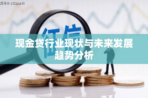 湖里现金贷行业现状与未来发展趋势分析