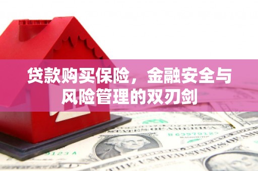 湖里贷款购买保险，金融安全与风险管理的双刃剑