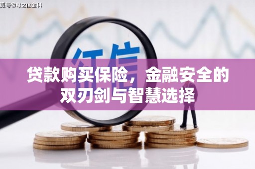 湖里贷款购买保险，金融安全的双刃剑与智慧选择
