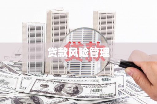 湖里贷款风险管理