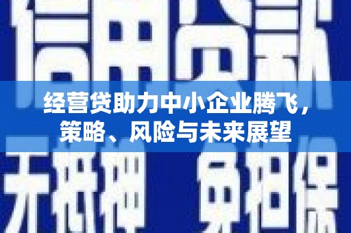 湖里经营贷助力中小企业腾飞，策略、风险与未来展望