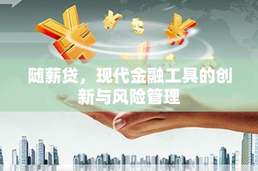 湖里随薪贷，现代金融工具的创新与风险管理