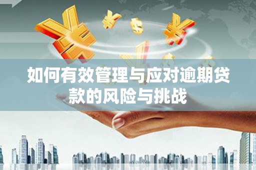 湖里如何有效管理与应对逾期贷款的风险与挑战