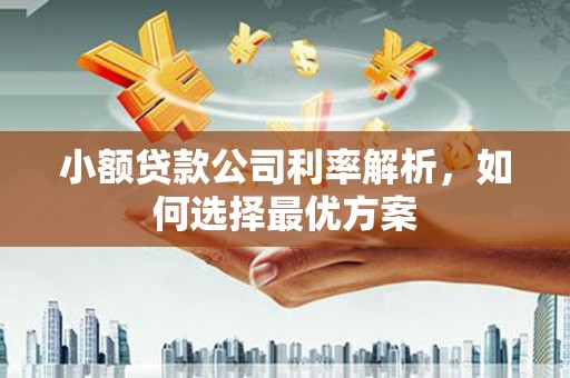 湖里小额贷款公司利率解析，如何选择最优方案