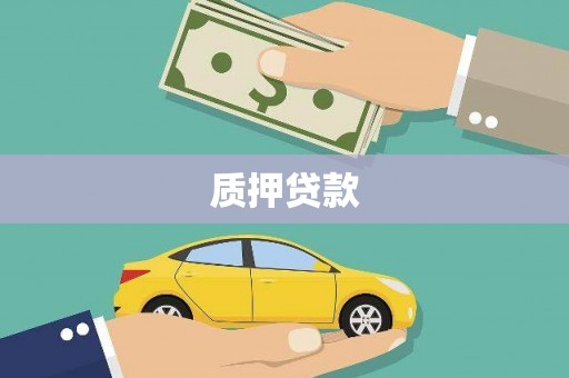 湖里质押贷款