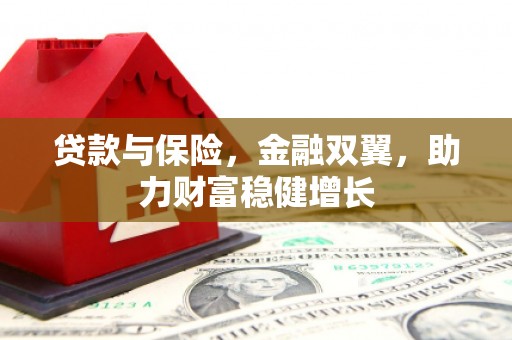 湖里贷款与保险，金融双翼，助力财富稳健增长