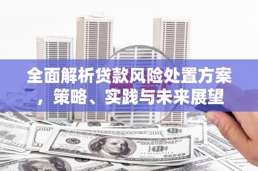 湖里全面解析贷款风险处置方案，策略、实践与未来展望