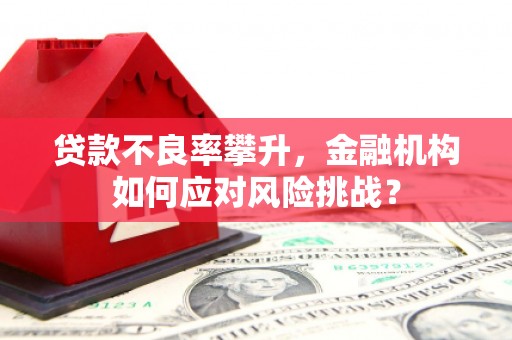 湖里贷款不良率攀升，金融机构如何应对风险挑战？