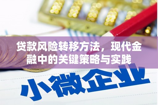 湖里贷款风险转移方法，现代金融中的关键策略与实践