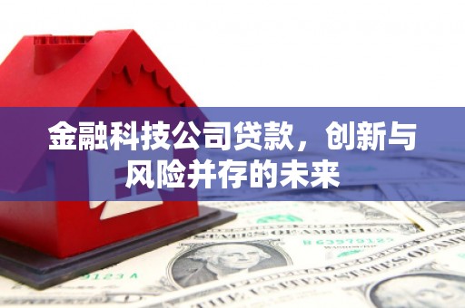 湖里金融科技公司贷款，创新与风险并存的未来